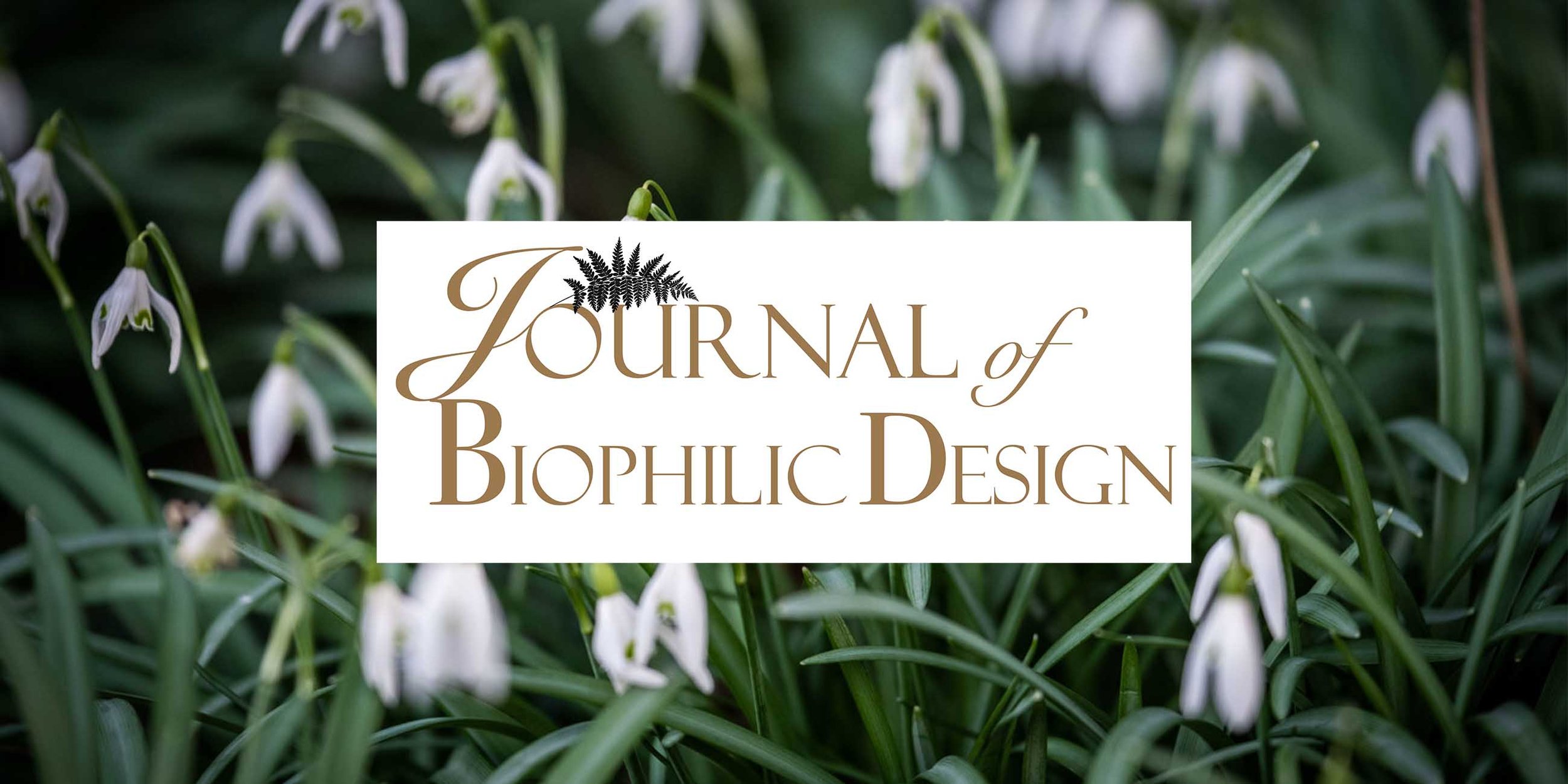 Journal+of+Biophilic+design+snowdrops+biophilic+design+magazine+architecture